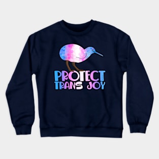 Protect Trans Joy Crewneck Sweatshirt